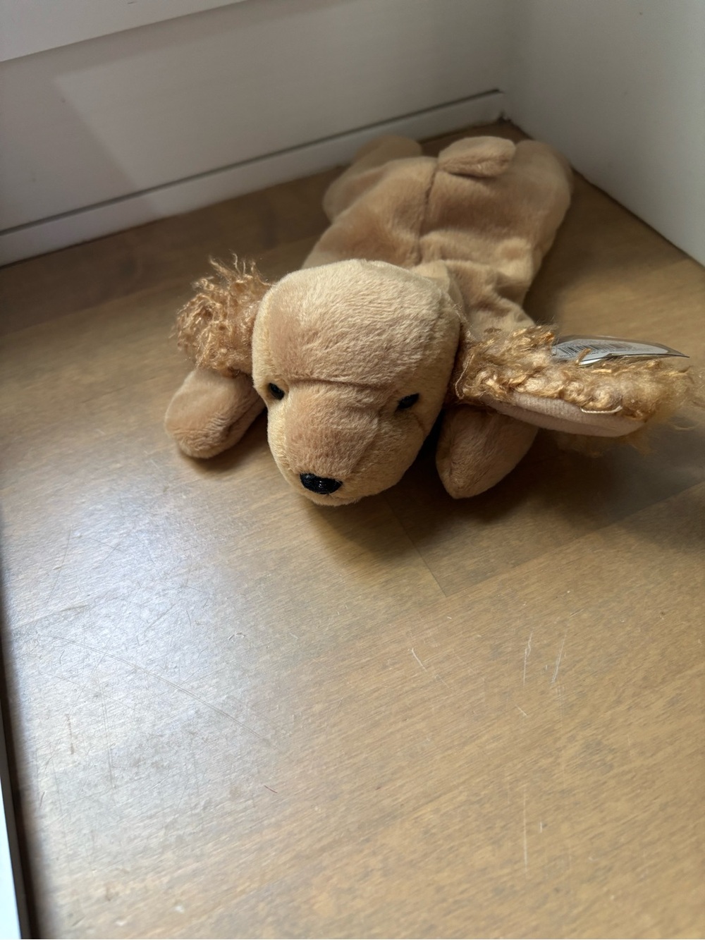 Ty beanie baby Spunky